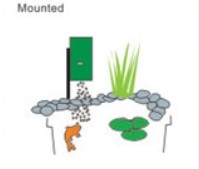 auto fish feeder