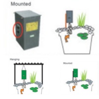 auto fish feeder