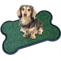pet park