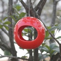 bird house
